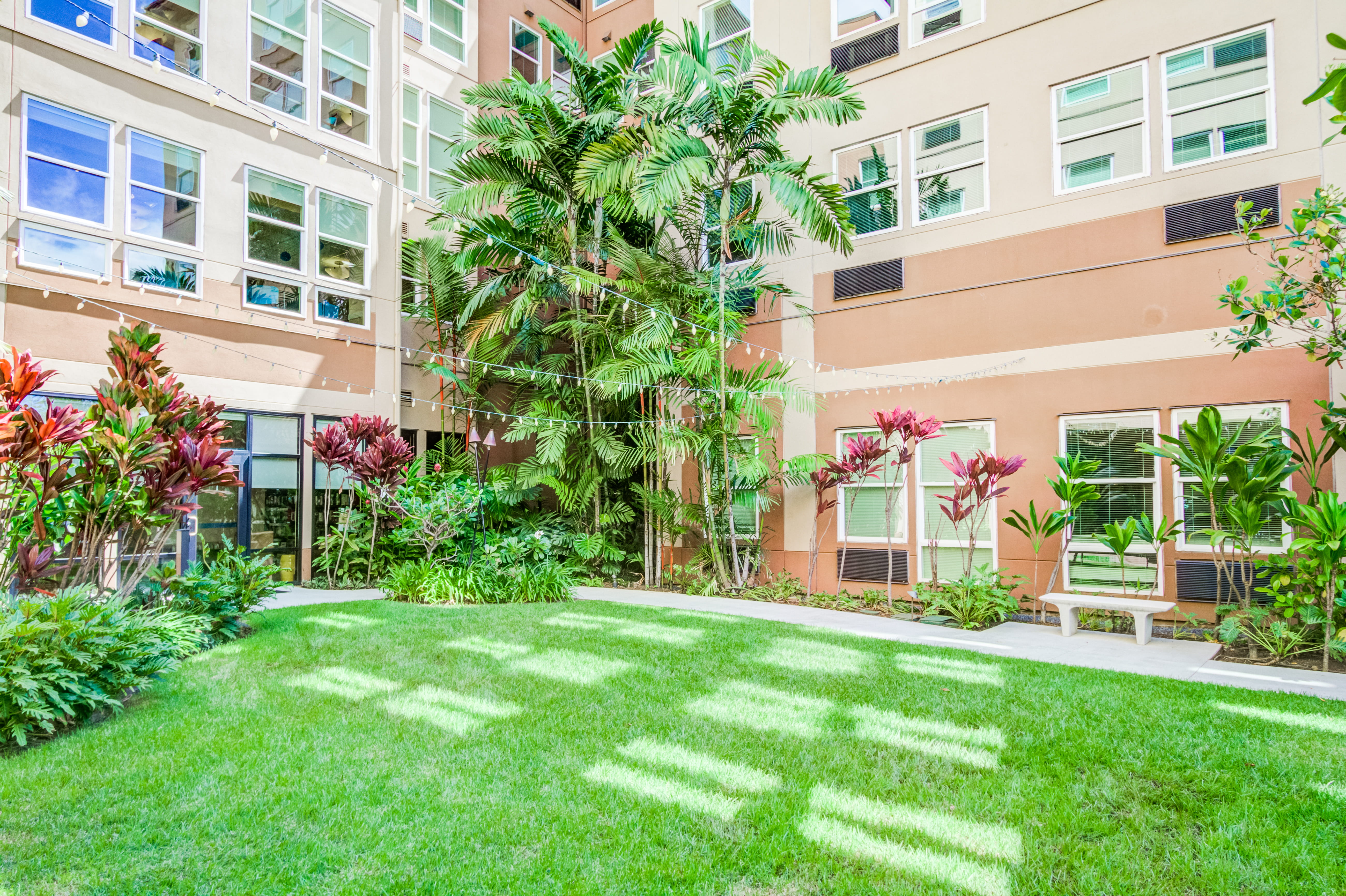 Manicured inner courtyard with green grass and palm trees at The Plaza Assisted Living.